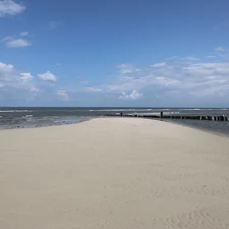 Bunte Kuh * Wangerooge