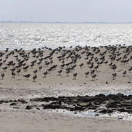 Lägenhet Bunte Kuh Wangerooge