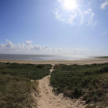 Bunte Kuh * Wangerooge