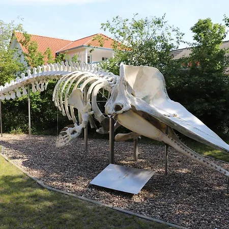 Bunte Kuh Lägenhet Wangerooge
