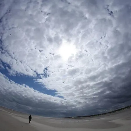 דירה Bunte Kuh *