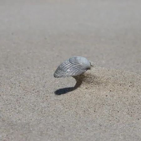 Bunte Kuh Appartamento *