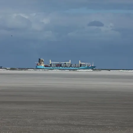 Bunte Kuh * Wangerooge