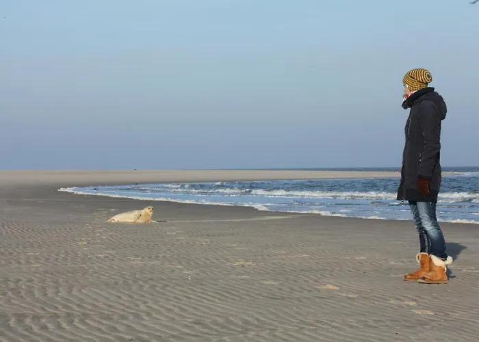 Apartman Bunte Kuh *