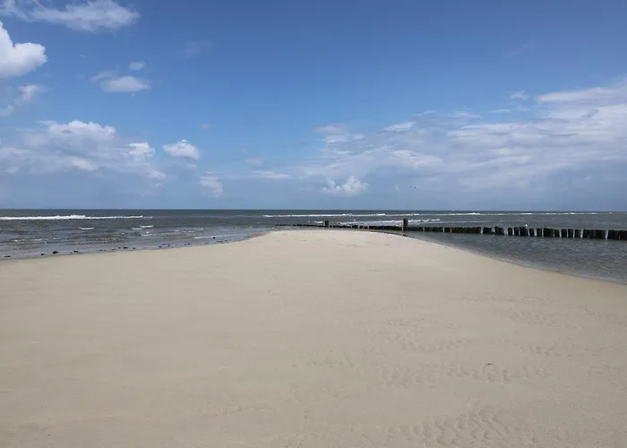 Bunte Kuh * Wangerooge