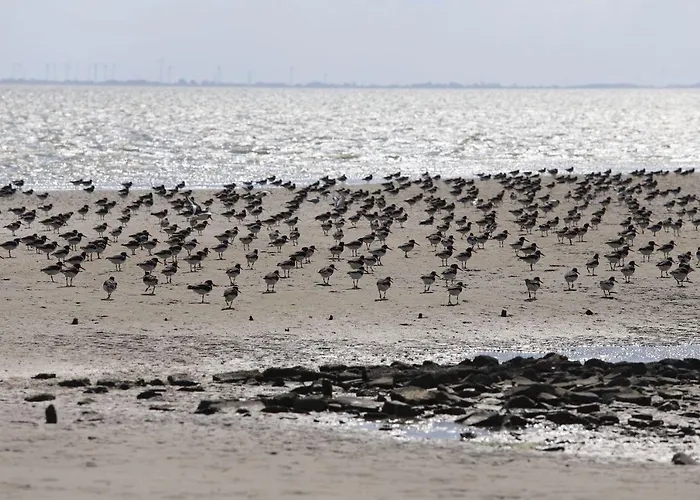 Lägenhet Bunte Kuh Wangerooge