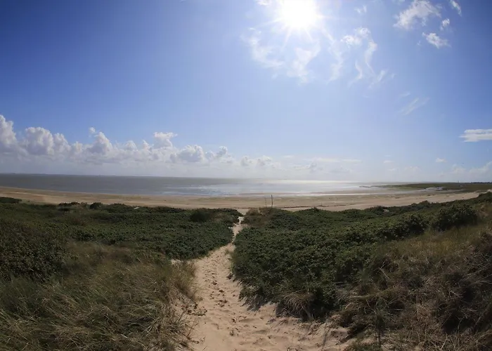 Bunte Kuh * Wangerooge