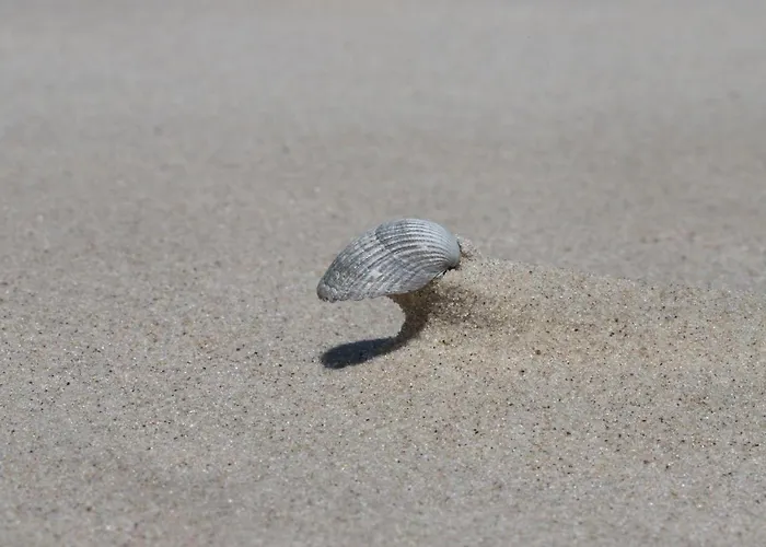 Bunte Kuh Lägenhet *