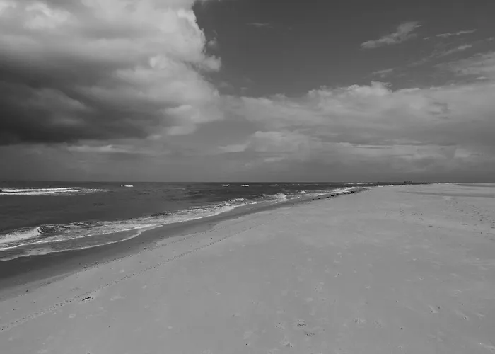 Bunte Kuh Apartman *