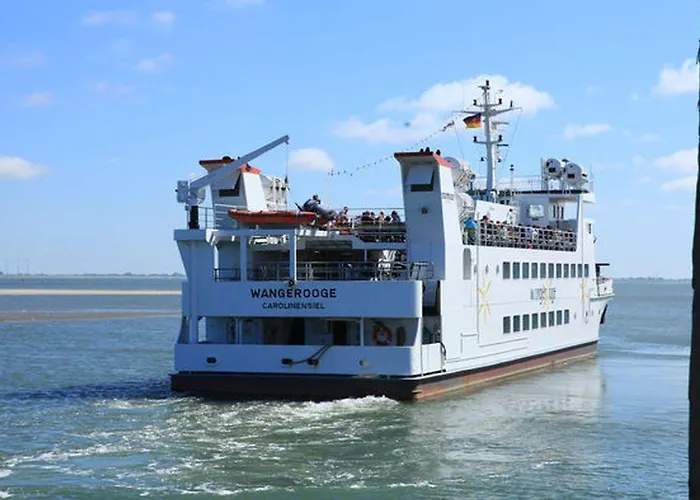 Bunte Kuh Wangerooge